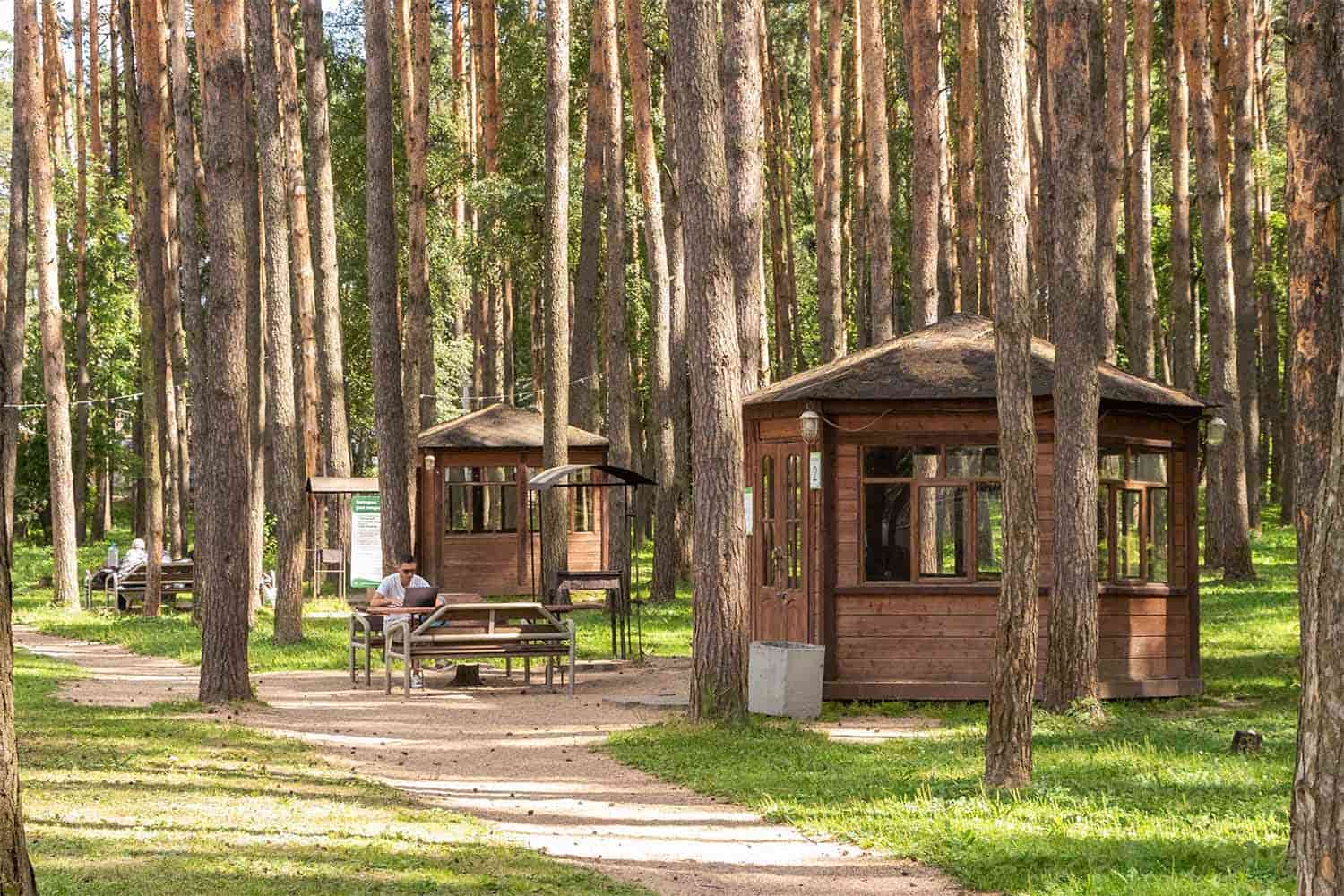 Лучшие места для пикника и барбекю в парках: где можно легально пожарить шашлык - 3